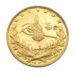 Turkish 100 Kurush Ottomon Empire Gold Coin