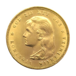 Netherlands 10 Guilders Young Wilhelmina Portrait Gold Coin