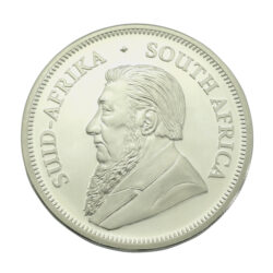 2020 2oz Krugerrand Silver Coin
