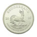 2020 2oz Krugerrand Silver Coin