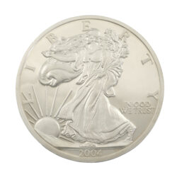 2004 American Eagle 1lb Silver Coin