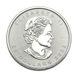 Best Value 1oz Platinum Canadian Maple Coin