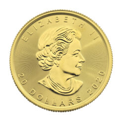 Best Value 1/2oz Canadian Maple Gold Coin