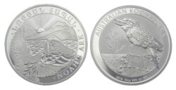 Best Value 10OZ Silver Coin